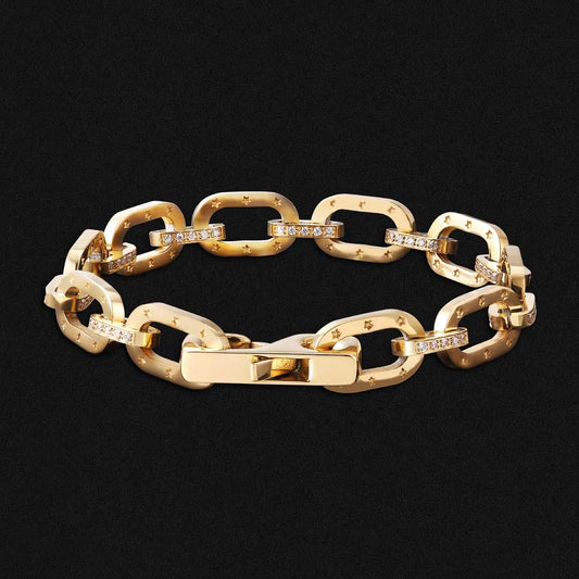 Dani thick chain link bracelet